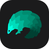 This is the software icon logo